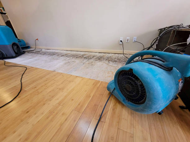 Professional Water Removal technician working in Greentown, IN